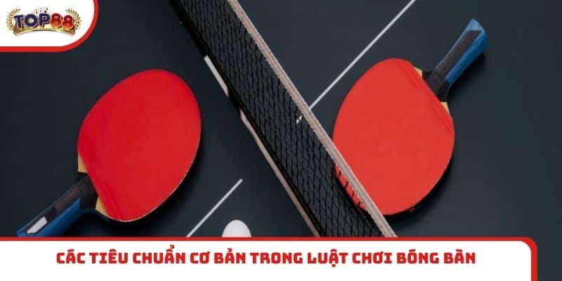 Các tiêu chuẩn cơ bản trong luật chơi bóng bàn